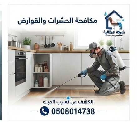 شركة مكافحة الحشرات بالقطيف | شركة المثالية لإبادة الآفات